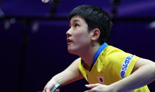 今晚乒乓球世界杯决赛 今晚乒乓球世界杯决赛
